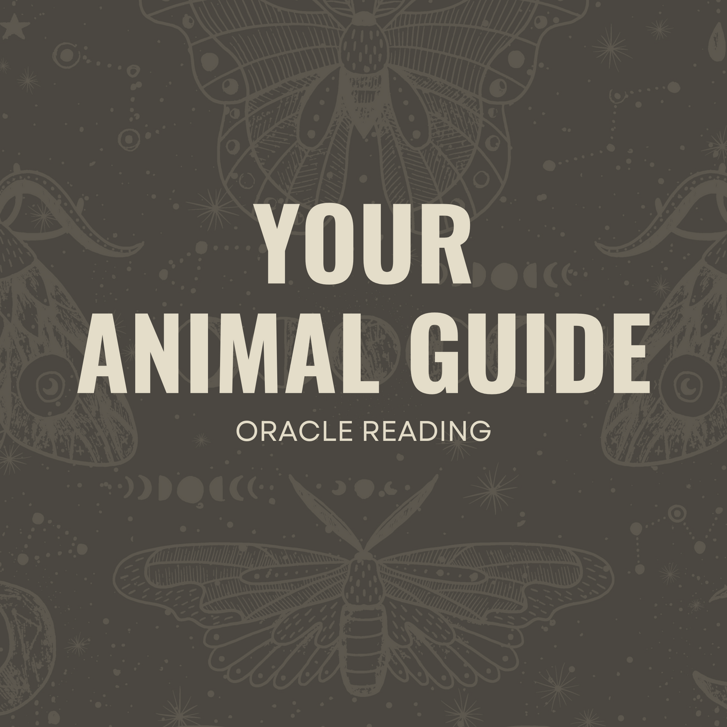 Your Animal Guide