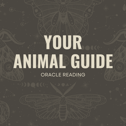 Your Animal Guide